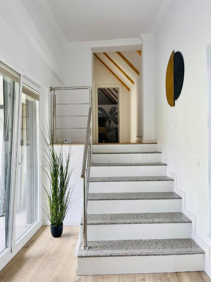 Dendro Apartment-free Parking Cluj-Napoca