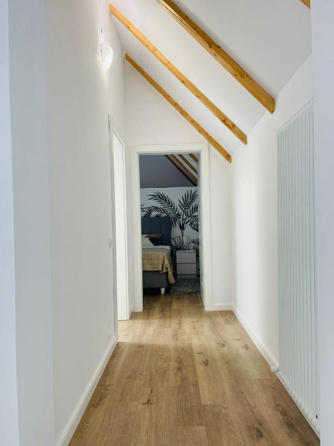 Dendro Apartment-free Parking